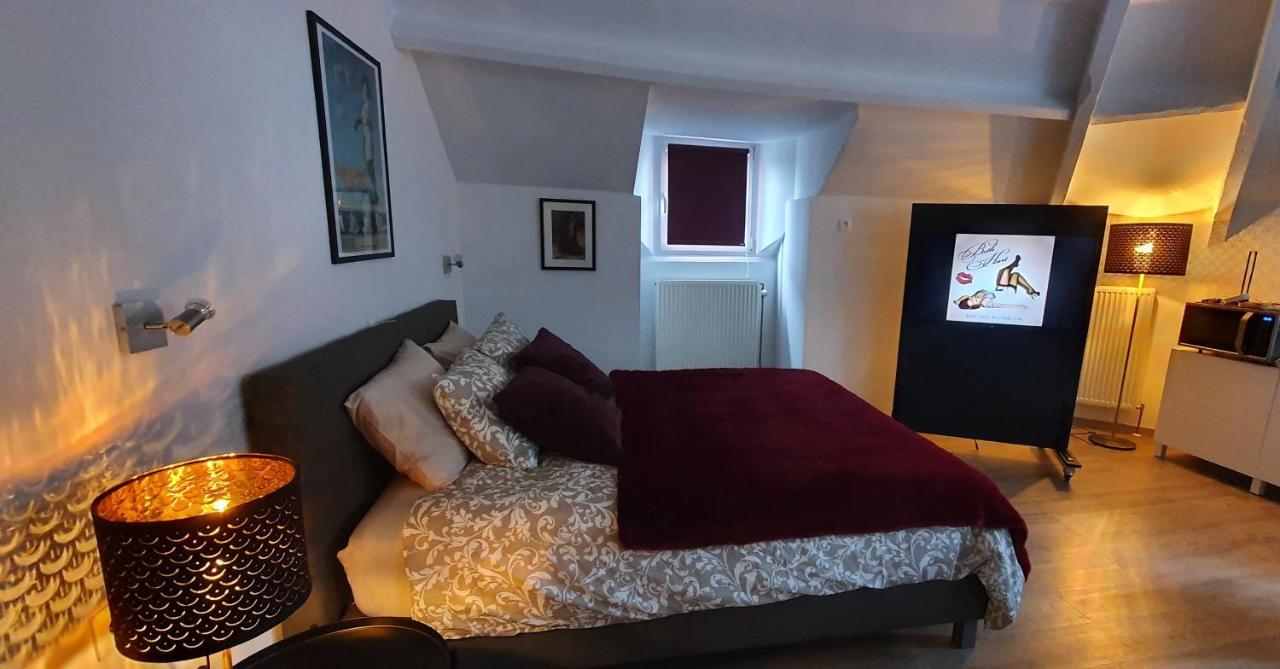 La Belle Mosane De La Plante Apartment นามูร์ ภายนอก รูปภาพ